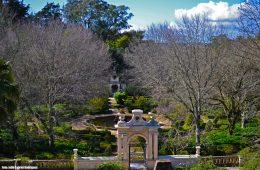 Jardim-Botanico-coimbra-roteiro