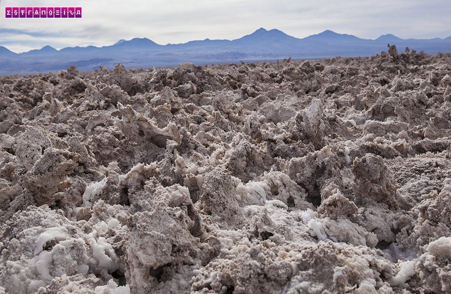 Os sais de cristais que formam o solo - Atacama - Chile