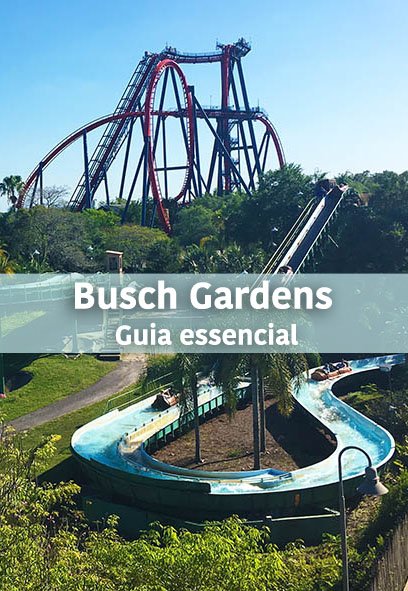 Busch-Gardens-tampa-pinterest