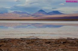 Atacama-Laguna-Tebinquinche