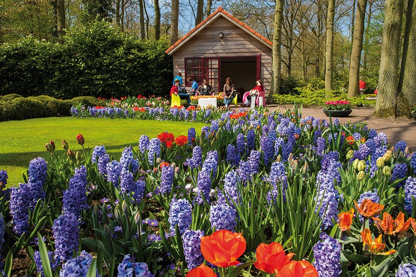 keukenhof-amsterdam-tulipas-2