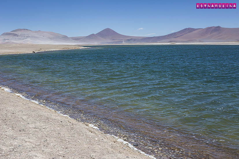 Salar-de-Tara-Atacama-Chile-2