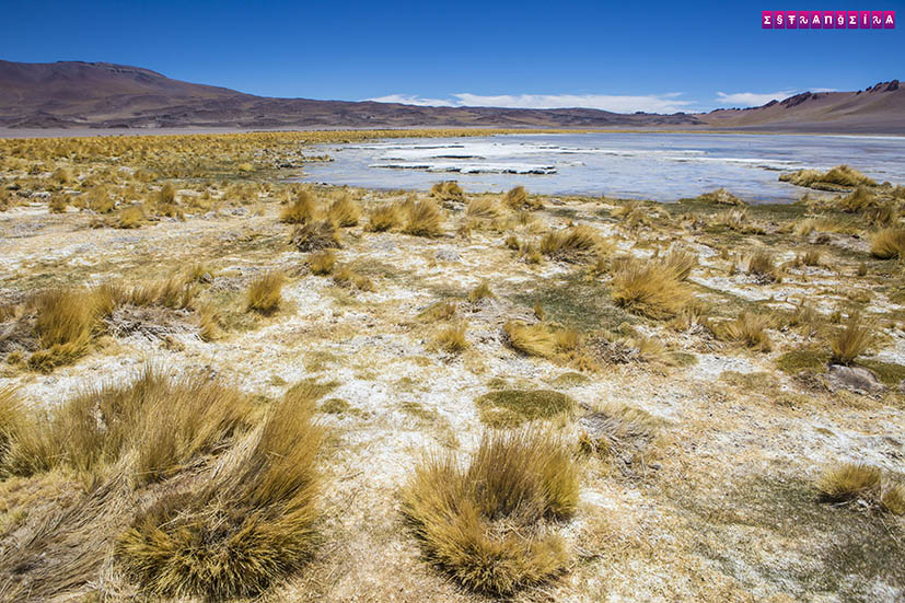 Salar-de-Tara-Atacama-Chile-6