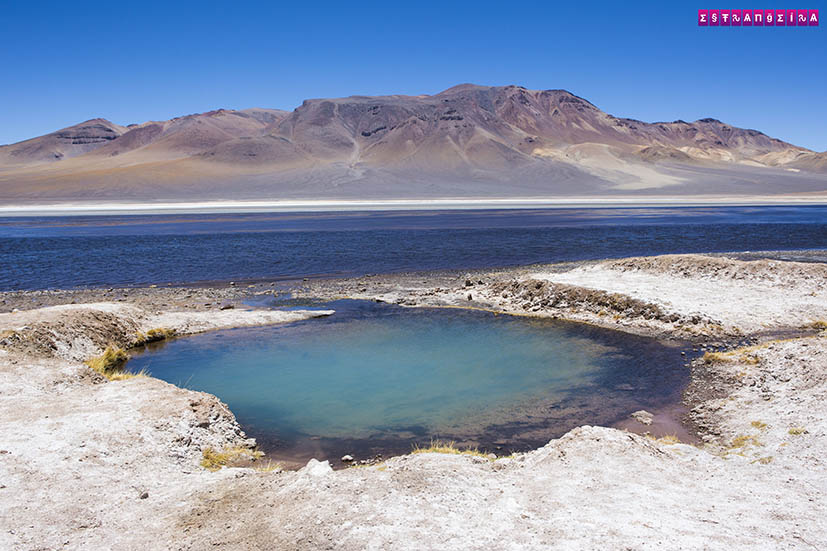 Salar-de-Tara-Atacama-Chile-8