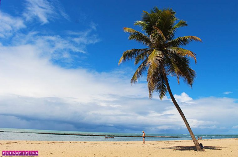 o-que-fazer-em-maceio-Praia-do-gunga-coqueiro