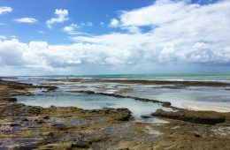 praia-dos-carneiros-piscinas-naturais-3