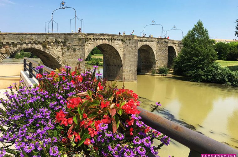 Carcassonne-Franca-ponte-velha-flor