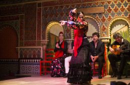 flamenco-Madrid