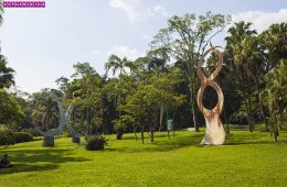 Jardim-botanico-sao-paulo-escultura