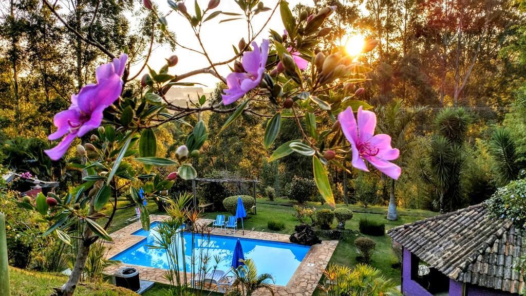 viagens-zen-no-brasil-spa-holistico-luz-e-paz-piscina-jardim