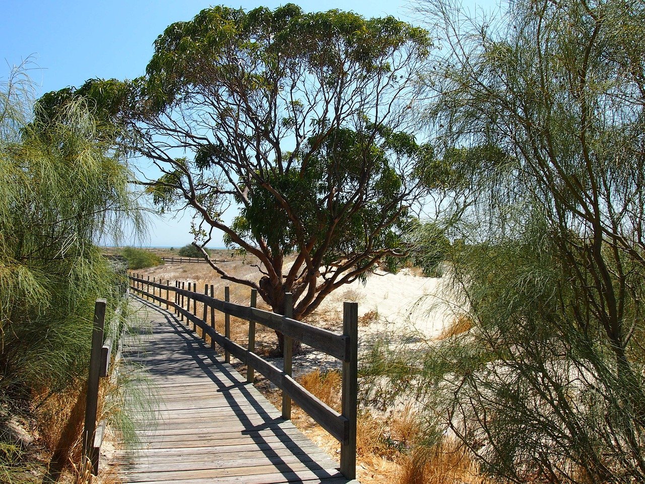 o-que-fazer-em-setubal-praia-de-troia