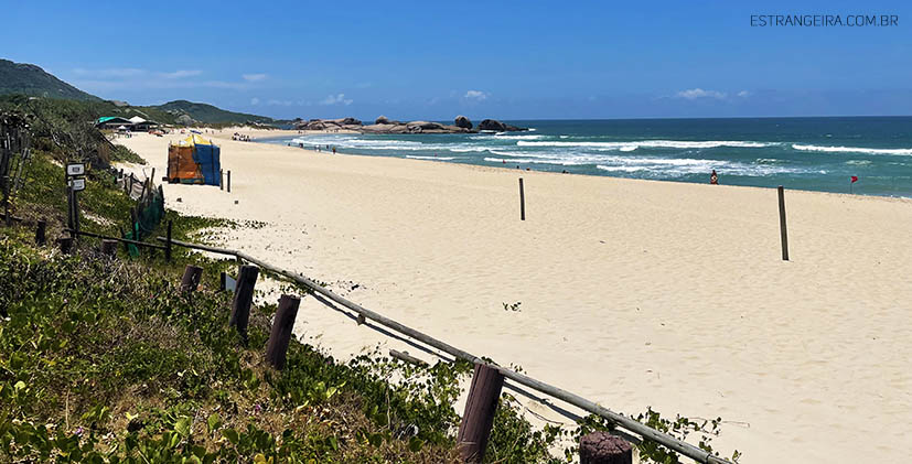 praia-mole-florianopolis