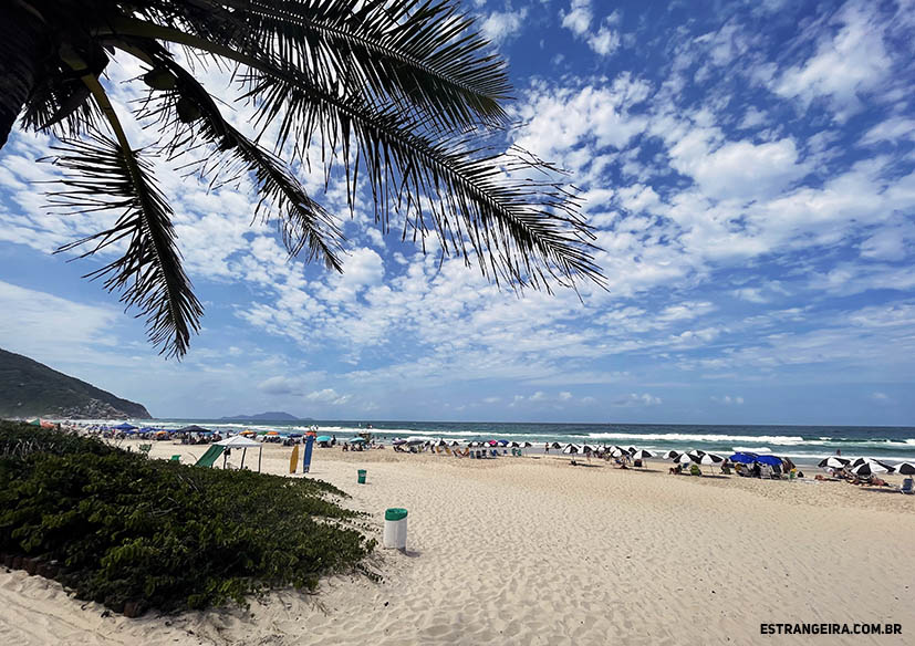 praia-brava-florianópolis