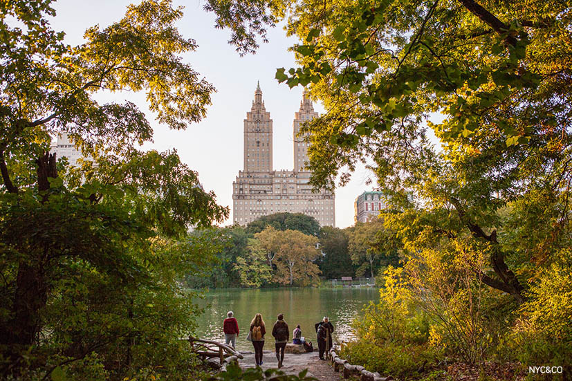 Central Park em Nova York: O Refúgio Verde de Manhattan